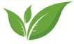 greenseducation.com-logo
